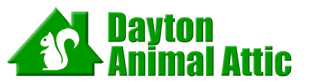 Dayton Animal Attic